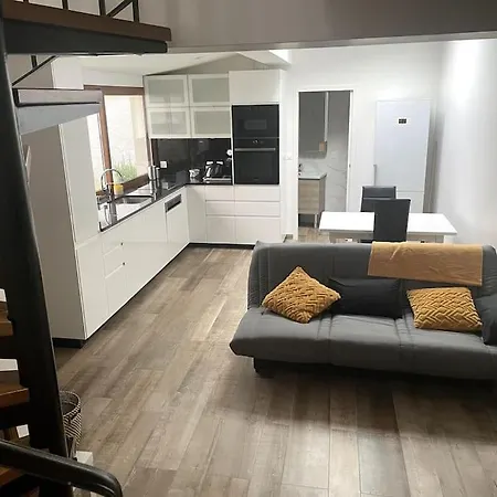 Studio Avec Mezzanine Lejlighed